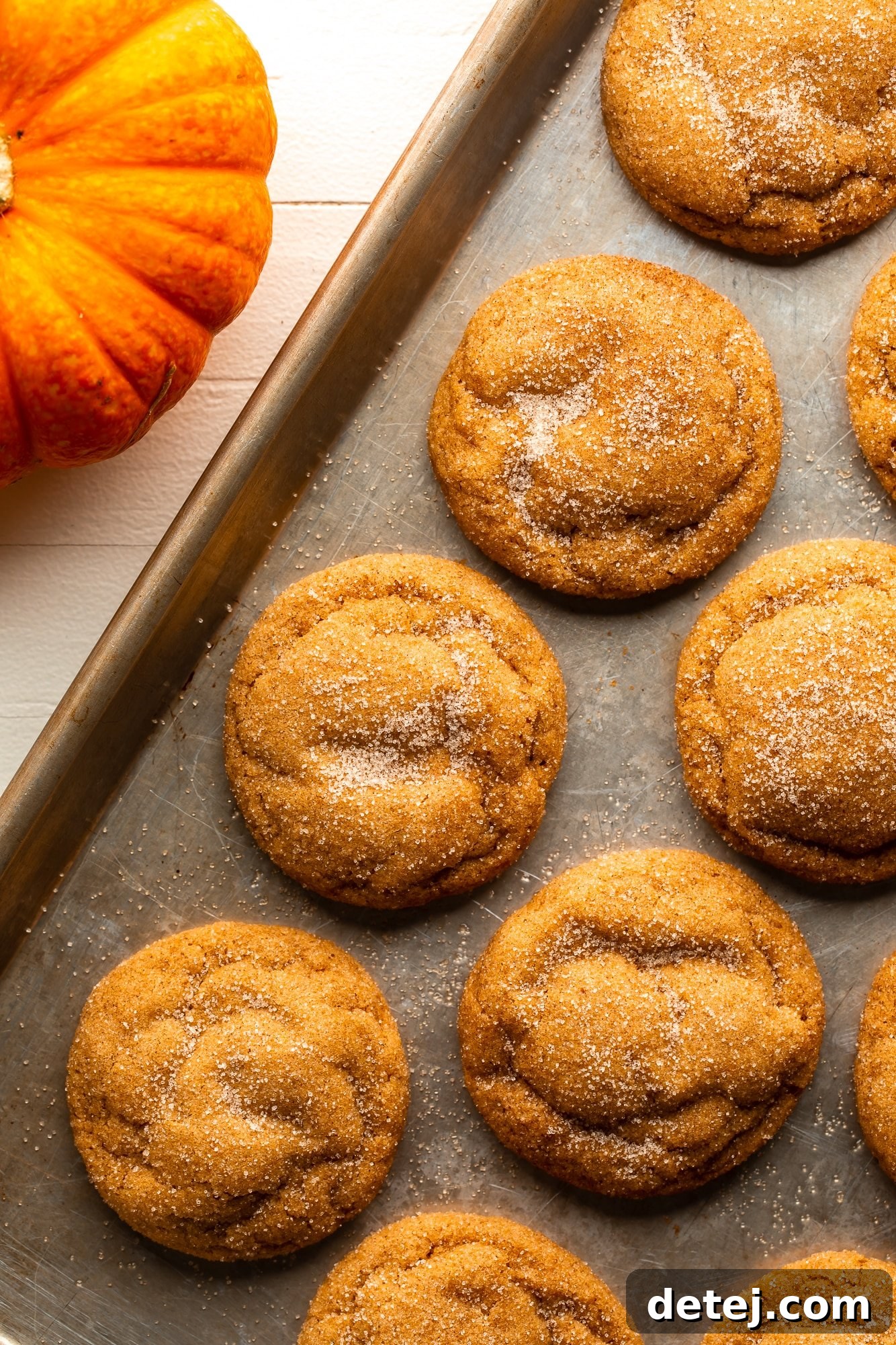 overhead view of cinnamon sugar-coated Vegan Pumpkin Snickerdoodles on a baking sheet.