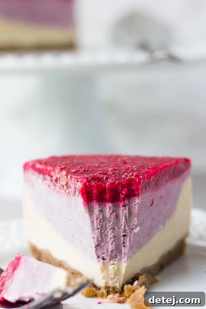 Luscious No-Bake Layered Raspberry Vegan Cheesecake 3 A perfectly sliced piece of no-bake vegan raspberry cheesecake, revealing creamy white and pink layers