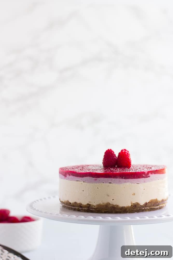 Luscious No-Bake Layered Raspberry Vegan Cheesecake 4 Close-up of a whole no-bake vegan raspberry cheesecake, showcasing its texture and vibrant color with berries on top
