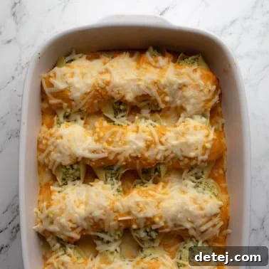 Overhead view of baked vegan pumpkin stuffed shells in a casserole dish.