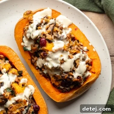 close up on two stuffed butternut squashes topped with garlic tahini sauce on a white plate.