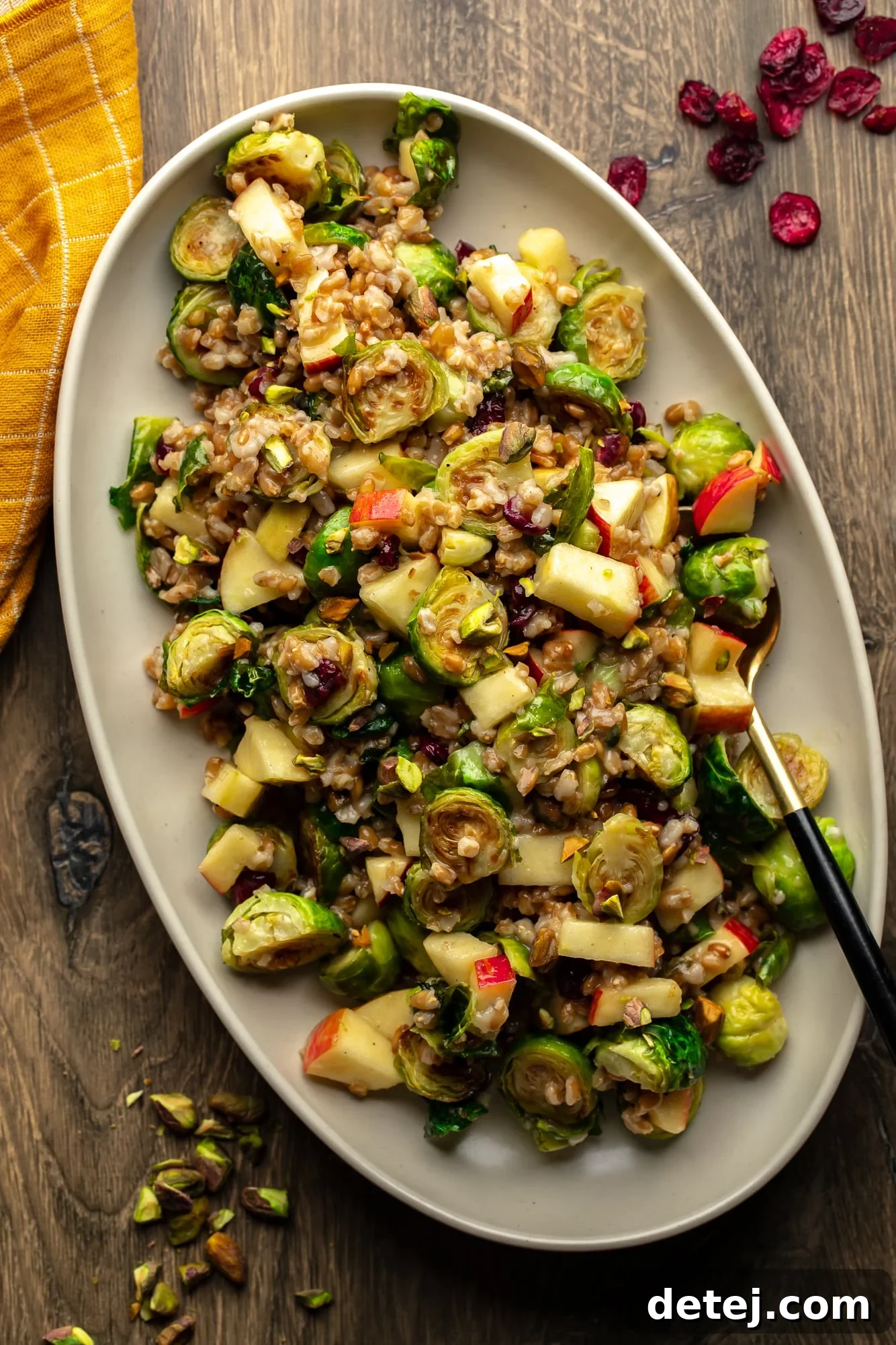 Overhead view of a vibrant warm brussels sprouts salad with farro, apples, and cranberries on a large white serving dish. The salad is beautifully arranged, highlighting the rich colors and varying textures of roasted Brussels sprouts, golden farro, crisp apple pieces, and ruby-red cranberries, all glistening with a delicate dressing.