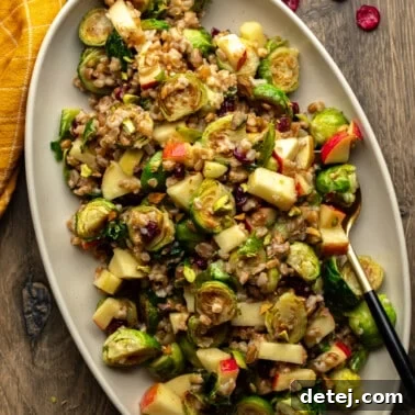Overhead view of a warm brussels sprouts salad on a large white serving dish.