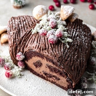 overhead view of a vegan yule log cake topped with sugared cranberries and meringue mushrooms on a white plate.