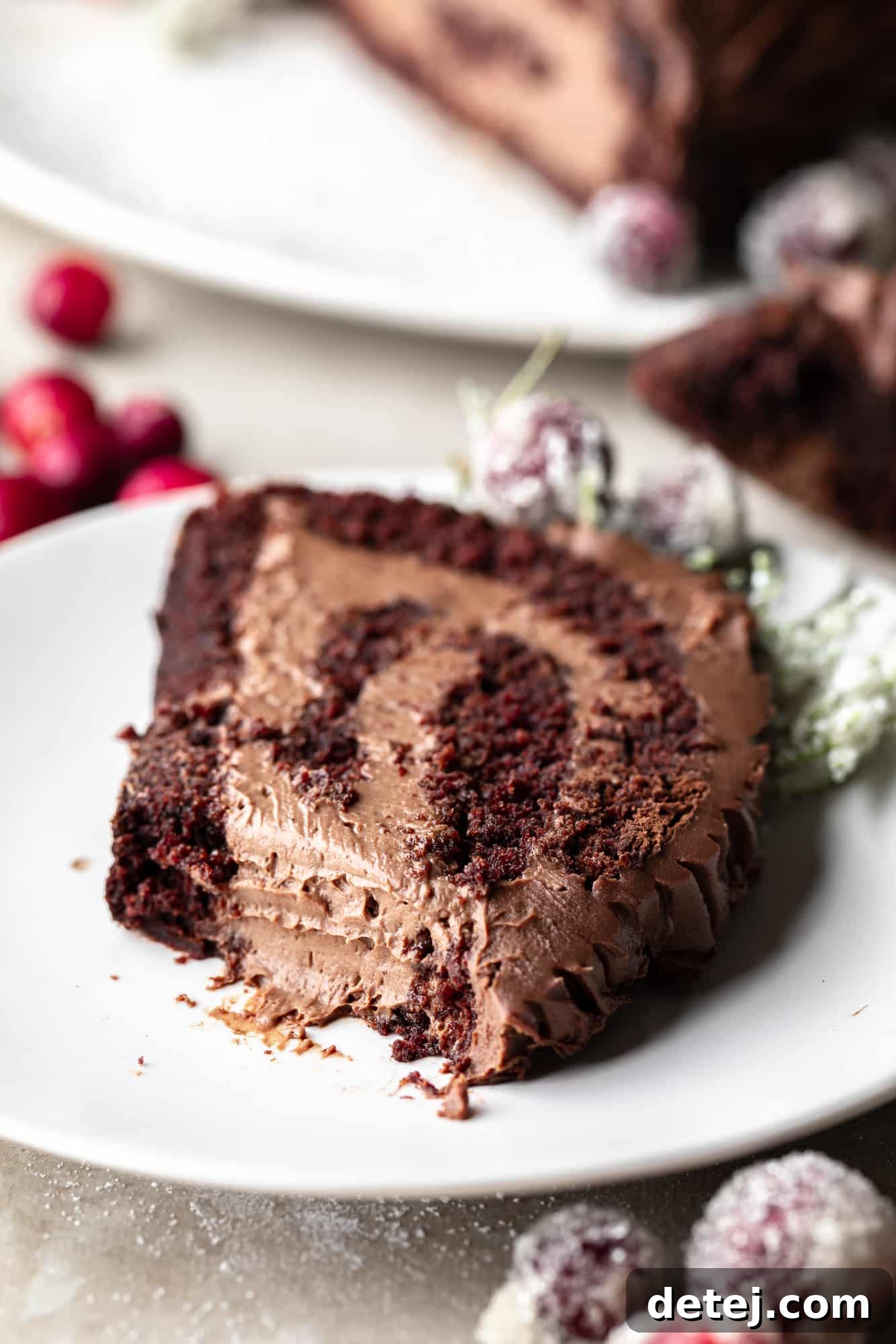 side view of a slice of a vegan yule log cake on a white plate.