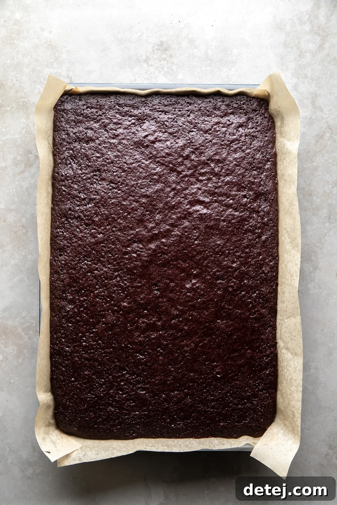 overhead view of a baked chocolate sponge cake in a large sheet pan.