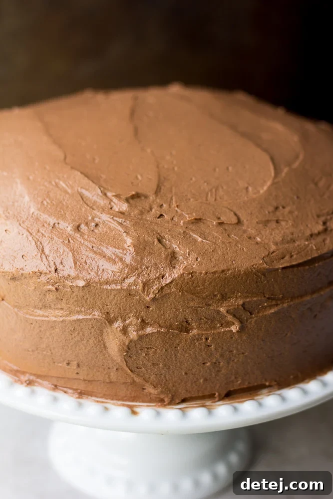 vegan chocolate cake frosted close up