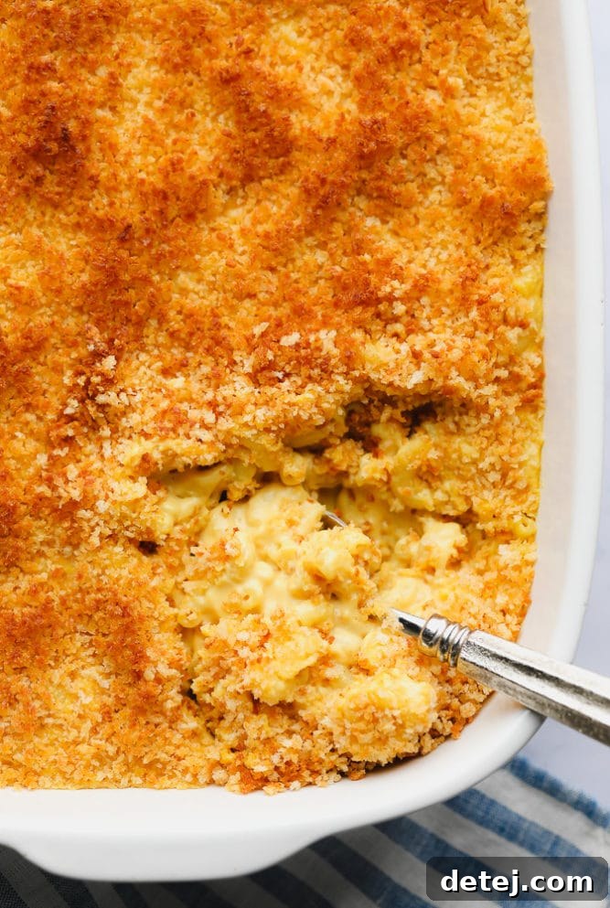 Overhead view of a baking dish filled with golden-brown vegan mac and cheese, topped with crispy breadcrumbs.