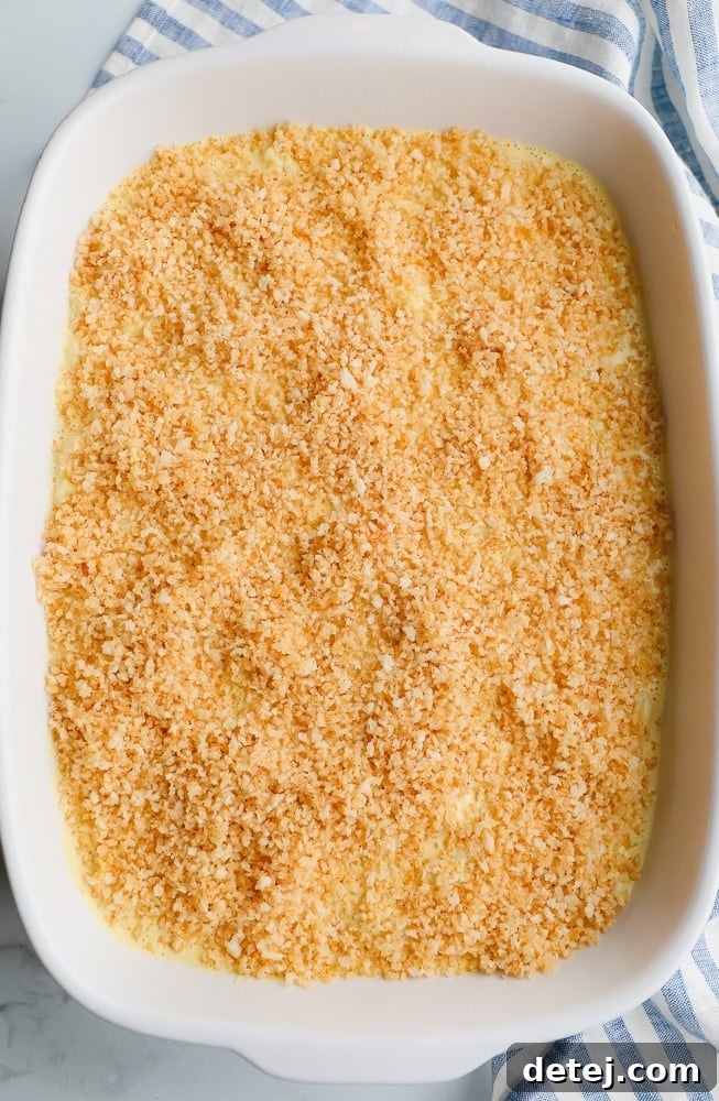 Close-up of a casserole dish with vegan mac and cheese, fully covered with a layer of seasoned breadcrumbs, ready for baking.