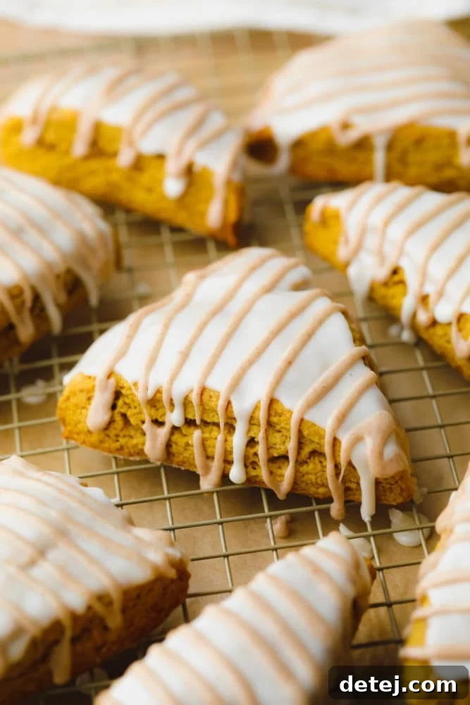A collection of freshly baked vegan pumpkin scones arranged beautifully on a cooling rack, showcasing their warm, orange-tan hue and dual glazes.