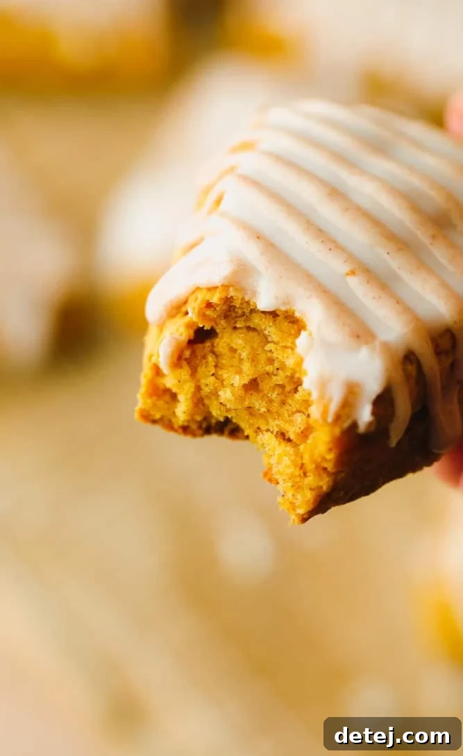 A close-up shot of a single vegan pumpkin scone, featuring a bite taken out to reveal its soft, spiced interior and the contrasting layers of vanilla and spiced glazes.