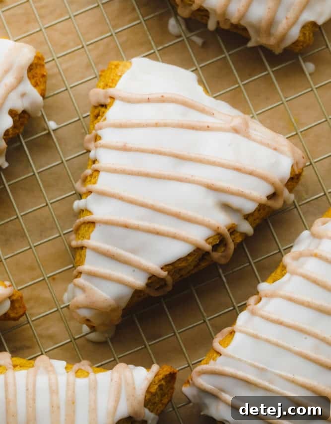 An overhead view of several finished vegan pumpkin scones, beautifully glazed with both white vanilla and spiced pumpkin glazes, ready to be enjoyed.
