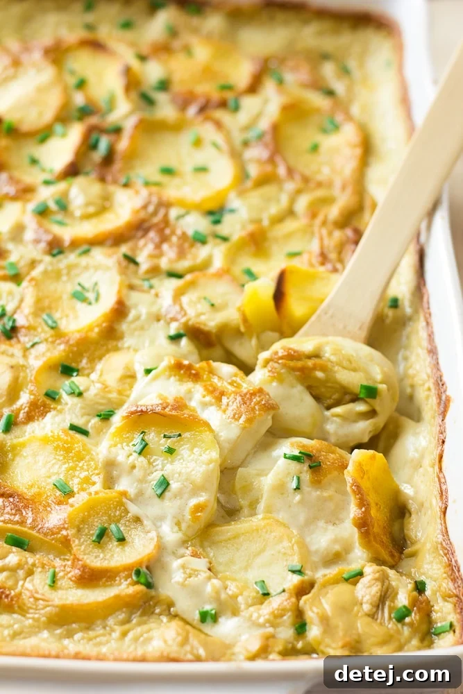 Creamy Vegan Potato Gratin 2 Rich and creamy vegan scalloped potatoes in a rustic casserole dish with a wooden spoon, ready to be served, highlighting their golden brown top and tender texture.