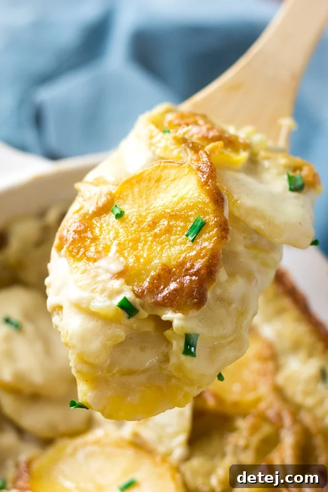 Creamy Vegan Potato Gratin 3 Close-up shot of a serving of vegan scalloped potatoes on a wooden spoon, showcasing the melted vegan cheese, herbs, and soft potato layers.