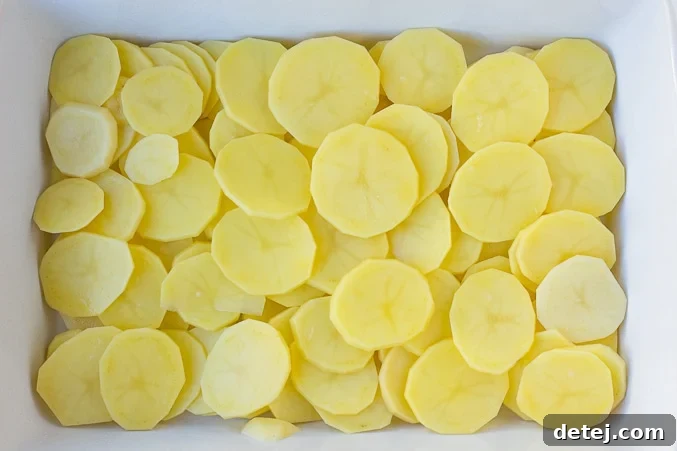 Creamy Vegan Potato Gratin 4 First layer of thinly sliced raw Yukon Gold potatoes arranged neatly in a greased 9x13 inch baking dish, ready for the sauce.