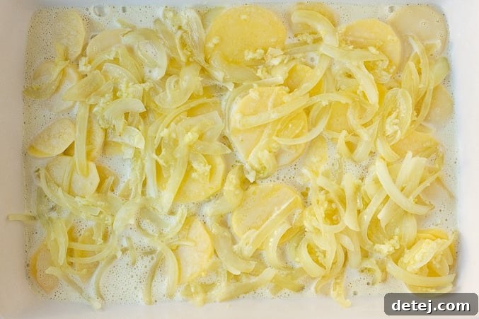 Creamy Vegan Potato Gratin 5 Second layer of vegan scalloped potatoes, with the first layer of potatoes covered by creamy sauce and an aromatic onion and garlic mixture.