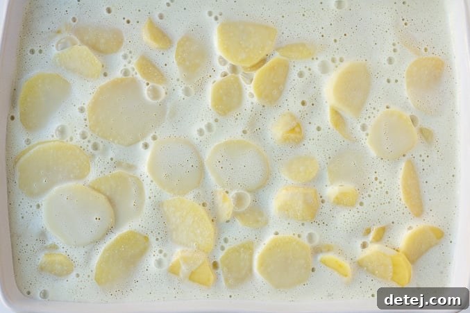 Creamy Vegan Potato Gratin 6 Top view of assembled vegan scalloped potatoes in a casserole dish, with creamy sauce covering the potato layers, just before baking.