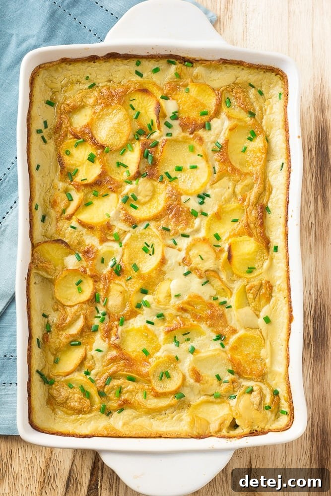 Creamy Vegan Potato Gratin 7 Cooked vegan scalloped potatoes in a baking dish, fresh out of the oven, garnished with herbs, showcasing a perfectly golden and bubbly top.