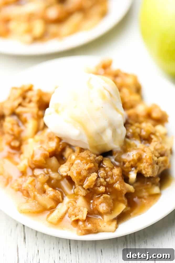 Two plates with generous servings of Vegan Apple Crisp, topped with melting dairy-free vanilla ice cream and a caramel drizzle, ready to be enjoyed.