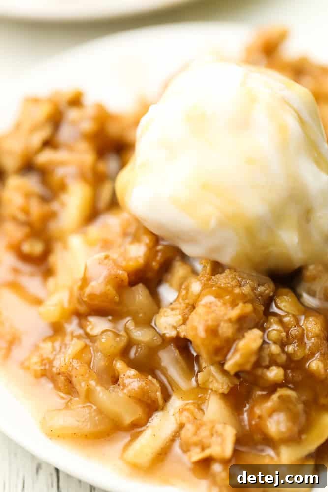 Close-up shot of a single serving of warm Vegan Apple Crisp on a plate, adorned with a scoop of melting dairy-free vanilla ice cream, highlighting the golden-brown crispy oat topping and tender apple filling.