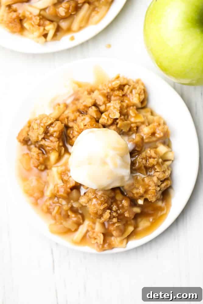 An overhead view of two plates of warm Vegan Apple Crisp, each topped with a scoop of dairy-free ice cream and a drizzle of caramel, invitingly presented for enjoyment.