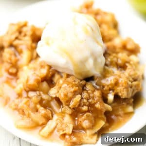 Square image of a single serving of Vegan Apple Crisp with ice cream on a plate.