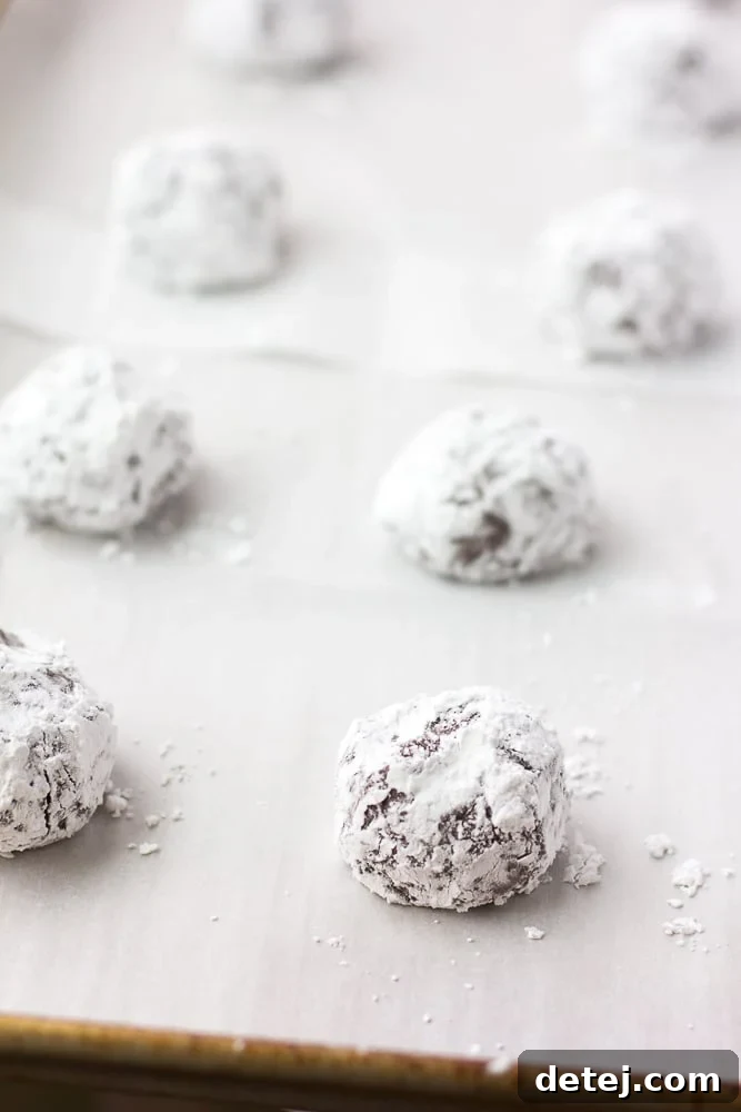 vegan chocolate crinkle cookies before being baked on pan