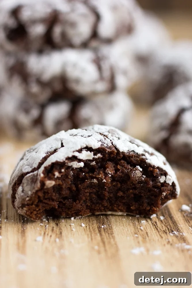 vegan chocolate crinkle cookies, 1 with a bite taken out up close shot.