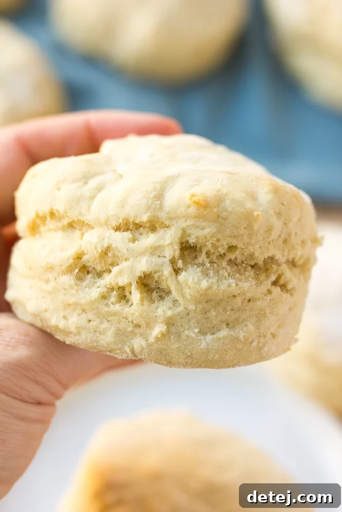 A delightful close-up shot of several freshly baked vegan biscuits, revealing their golden crust and tender, flaky layers.