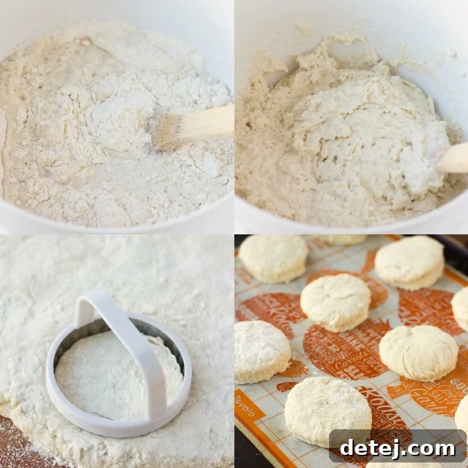 A vibrant collage showcasing the different stages of easy vegan biscuit making, from dough to golden-brown perfection.