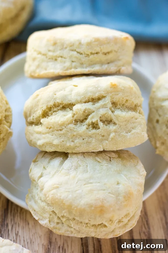 Three perfectly baked vegan biscuits, golden and inviting, ready to be enjoyed on a simple white plate.