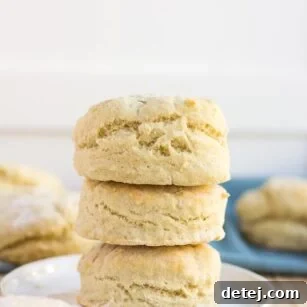 stack of easy vegan biscuits