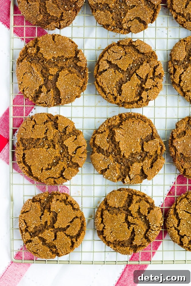 A generous display of perfectly baked chewy vegan ginger cookies cooling on a wire rack.
