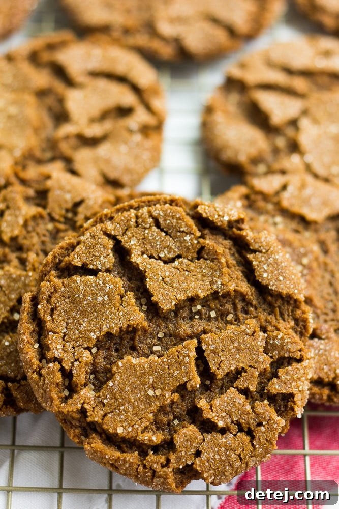 A close-up view highlighting the crackled tops and sugar coating of delicious vegan ginger cookies.