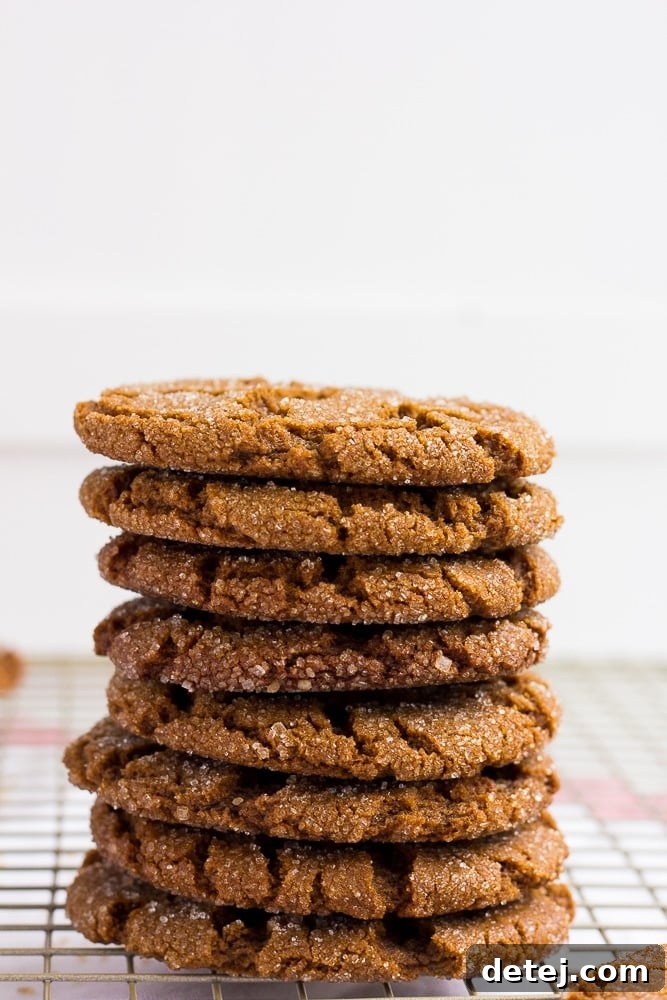 A beautiful stack of freshly baked vegan ginger cookies, ready to be enjoyed.