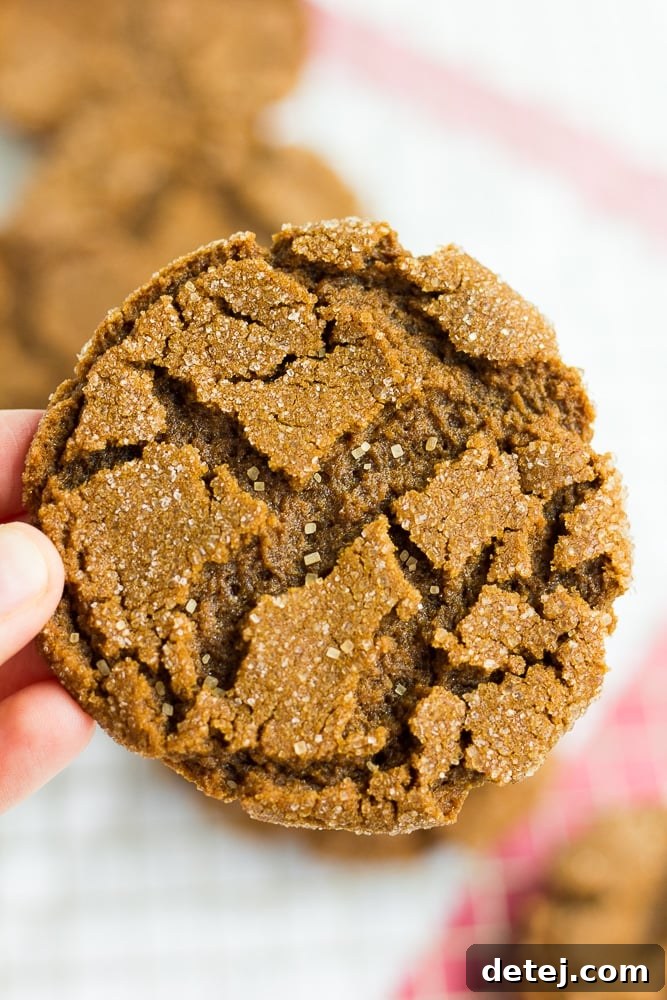 A hand gently holding two freshly baked vegan ginger cookies, showcasing their perfect shape and texture.