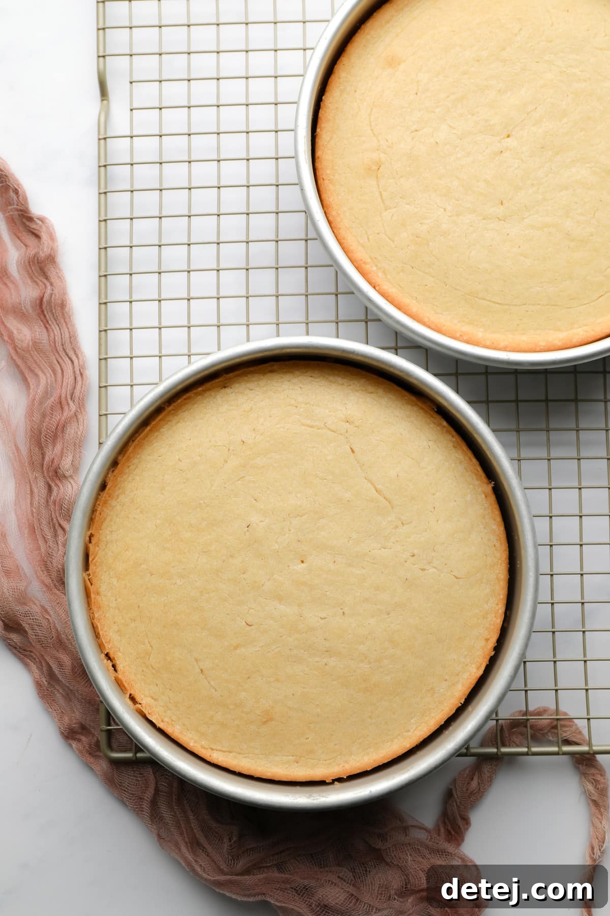 Two perfectly baked vegan vanilla cake layers resting on a wire cooling rack.