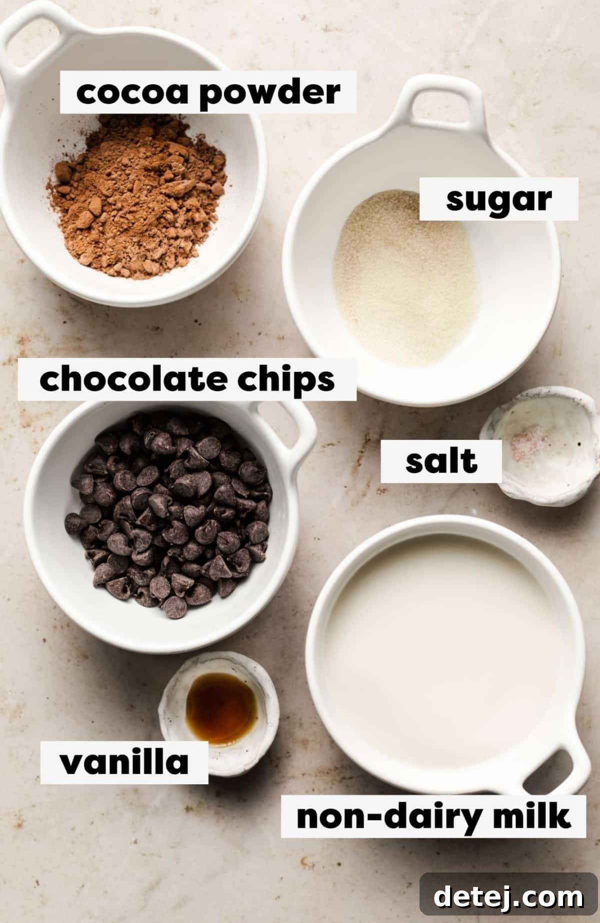 Various ingredients for making vegan hot chocolate, clearly labeled and arranged on a clean surface, including non-dairy milk, cocoa powder, sugar, chocolate chips, vanilla, and salt.