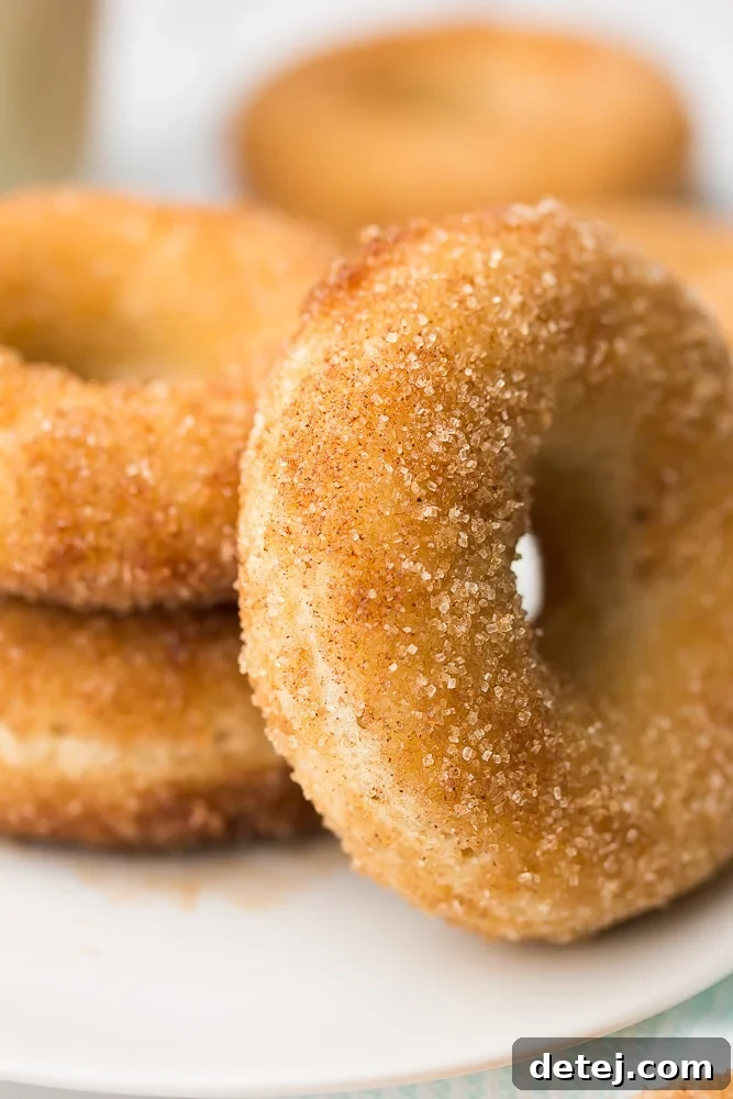 Two baked vegan donuts stacked, with more in the background, showcasing their perfect texture and cinnamon sugar coating.