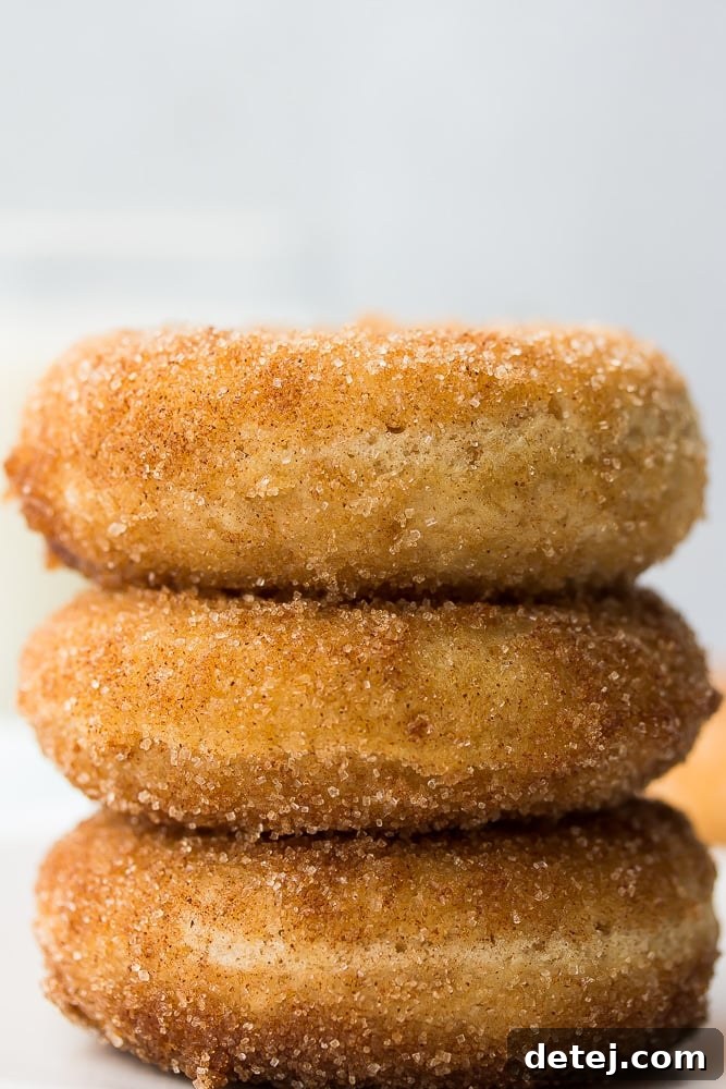 Close-up of three beautifully stacked vegan cinnamon sugar donuts against a soft grey background, highlighting their textured coating.