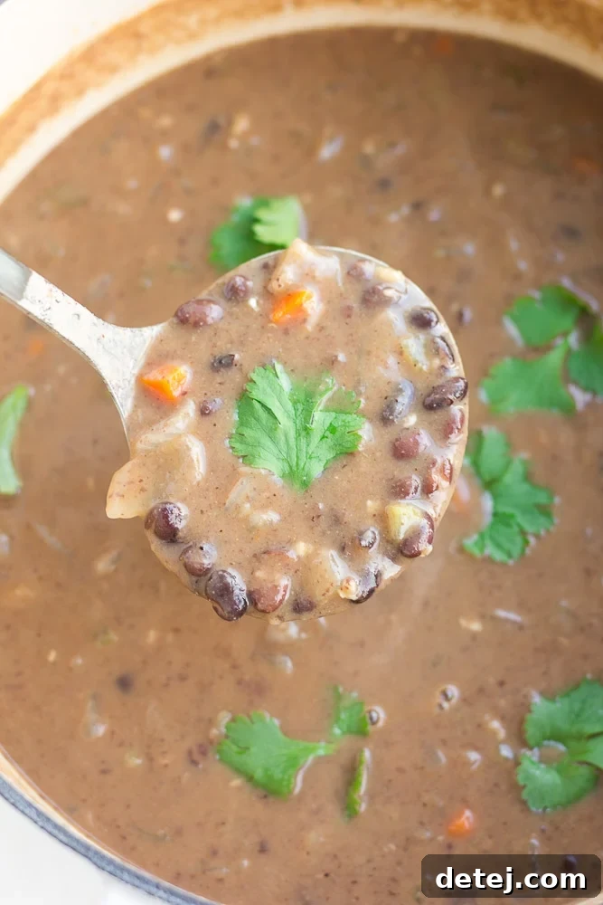 Hearty Vegan Black Bean Soup 3 A ladle scooping creamy vegan black bean soup from a large pot, ready to be served.