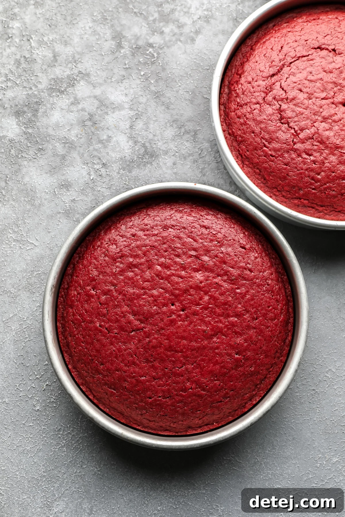 Ruby Red Vegan Indulgence 6 Freshly baked vegan red velvet cakes cooling in their round pans on a neutral grey background.