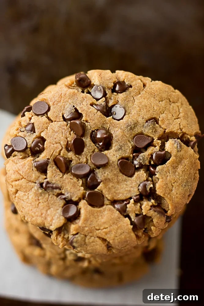 Close-up shot of an Oil-Free Peanut Butter Chocolate Chip Cookie, showing its soft texture and melted chocolate chips.