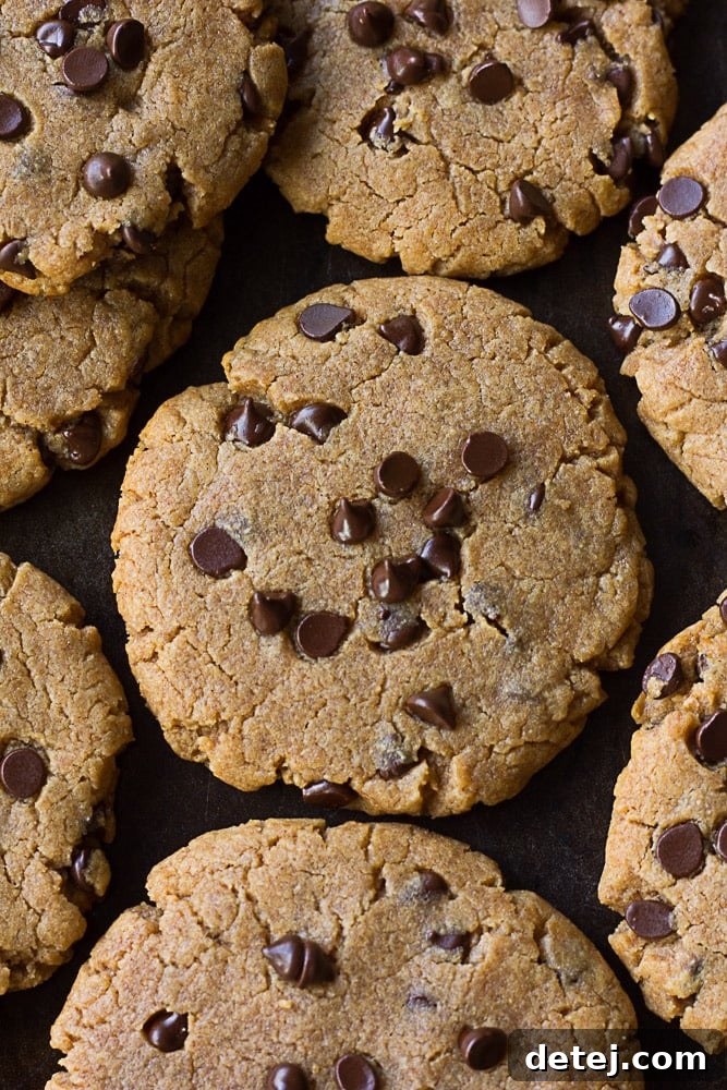 Oil-Free Peanut Butter Chocolate Chip Cookies arranged closely on a baking pan, fresh from the oven.