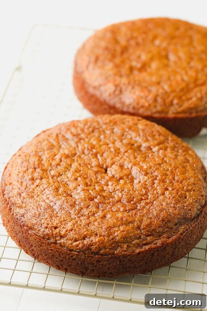 two layer carrot cake on cooling rack, no frosting
