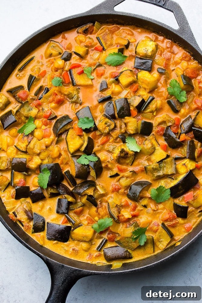A vibrant mix of roasted eggplant and chickpea curry, garnished with fresh cilantro, served in a rustic cast iron pan.