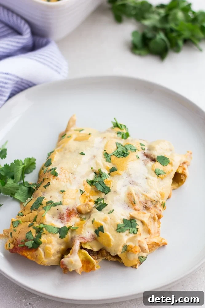 Ultimate Vegan Enchiladas 3 Two perfectly rolled vegan enchiladas served on a white plate, showcasing the rich red sauce and a hint of cheese.