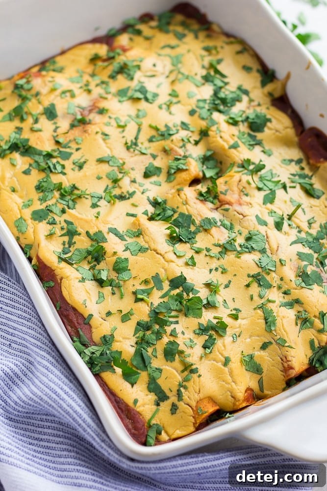 Ultimate Vegan Enchiladas 10 A full baking pan of vegan enchiladas garnished with fresh cilantro, ready to be served.