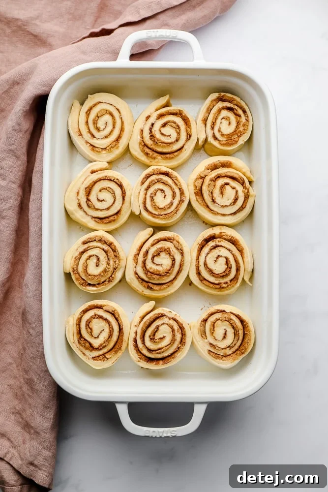 Uncooked, swirled cinnamon rolls neatly arranged in a baking dish, covered with a pink towel.