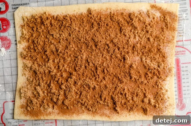 Rolled out dough covered evenly with cinnamon and brown sugar.